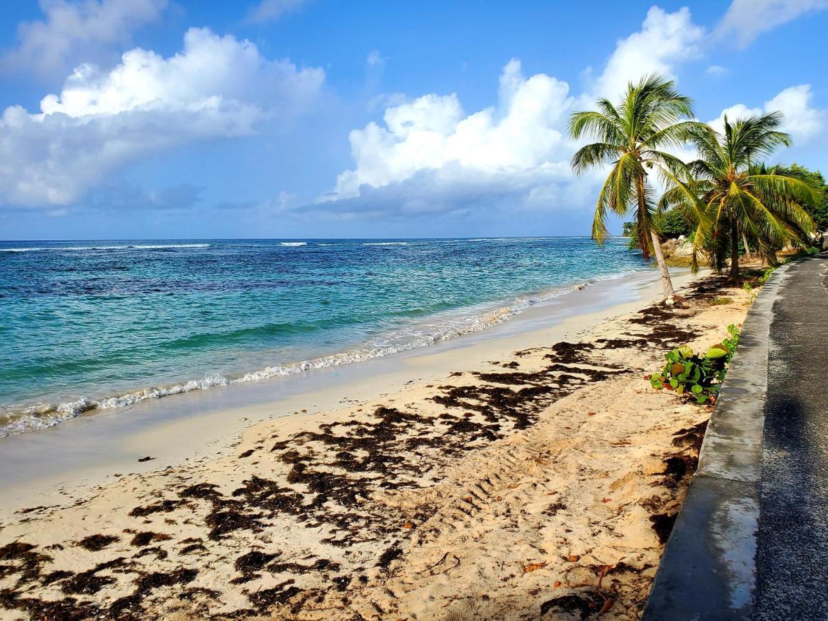 Bungalow l'Anjou Créole Sainte Anne Guadeloupe Extérieur photo