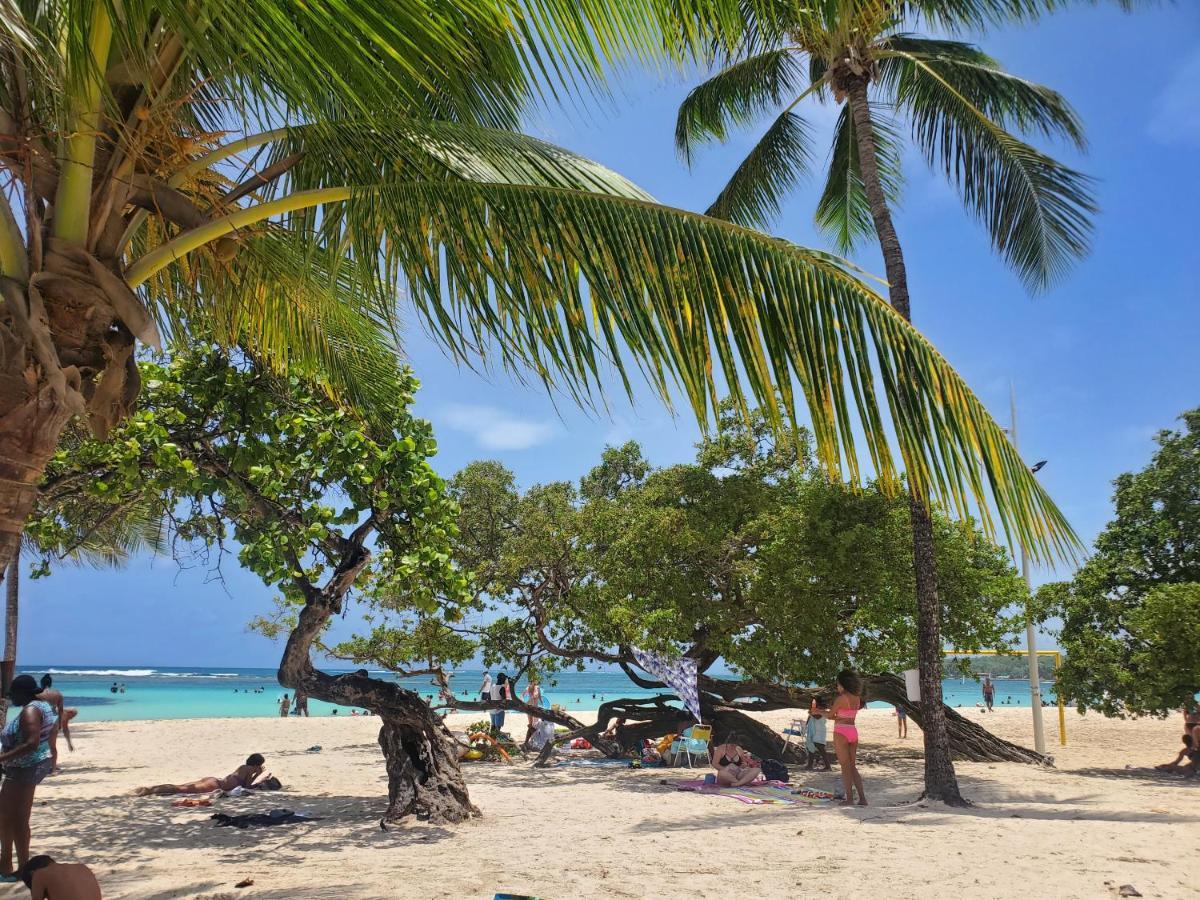 Bungalow l'Anjou Créole Sainte Anne Guadeloupe Extérieur photo