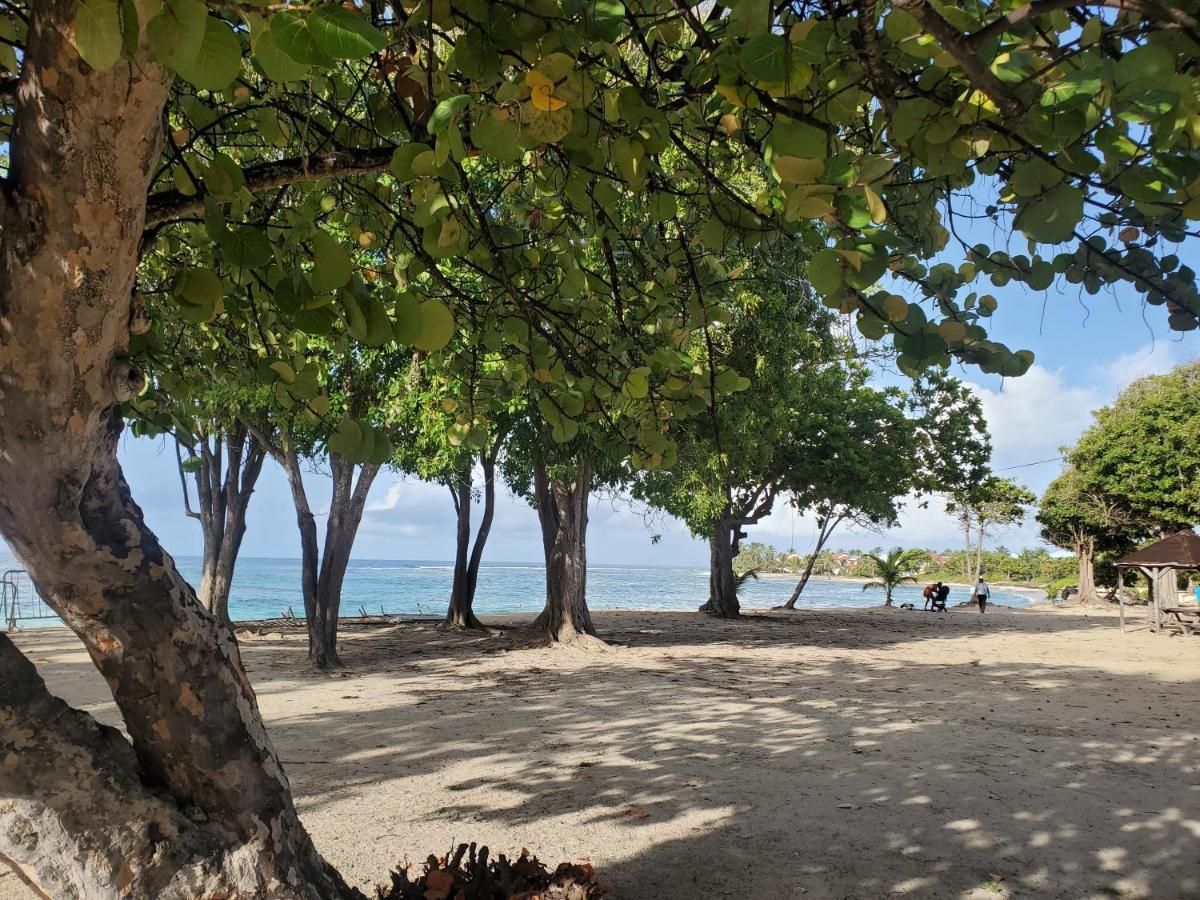Bungalow l'Anjou Créole Sainte Anne Guadeloupe Extérieur photo