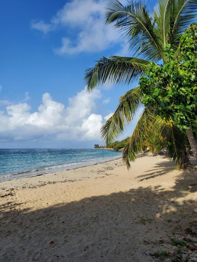 Bungalow l'Anjou Créole Sainte Anne Guadeloupe Extérieur photo