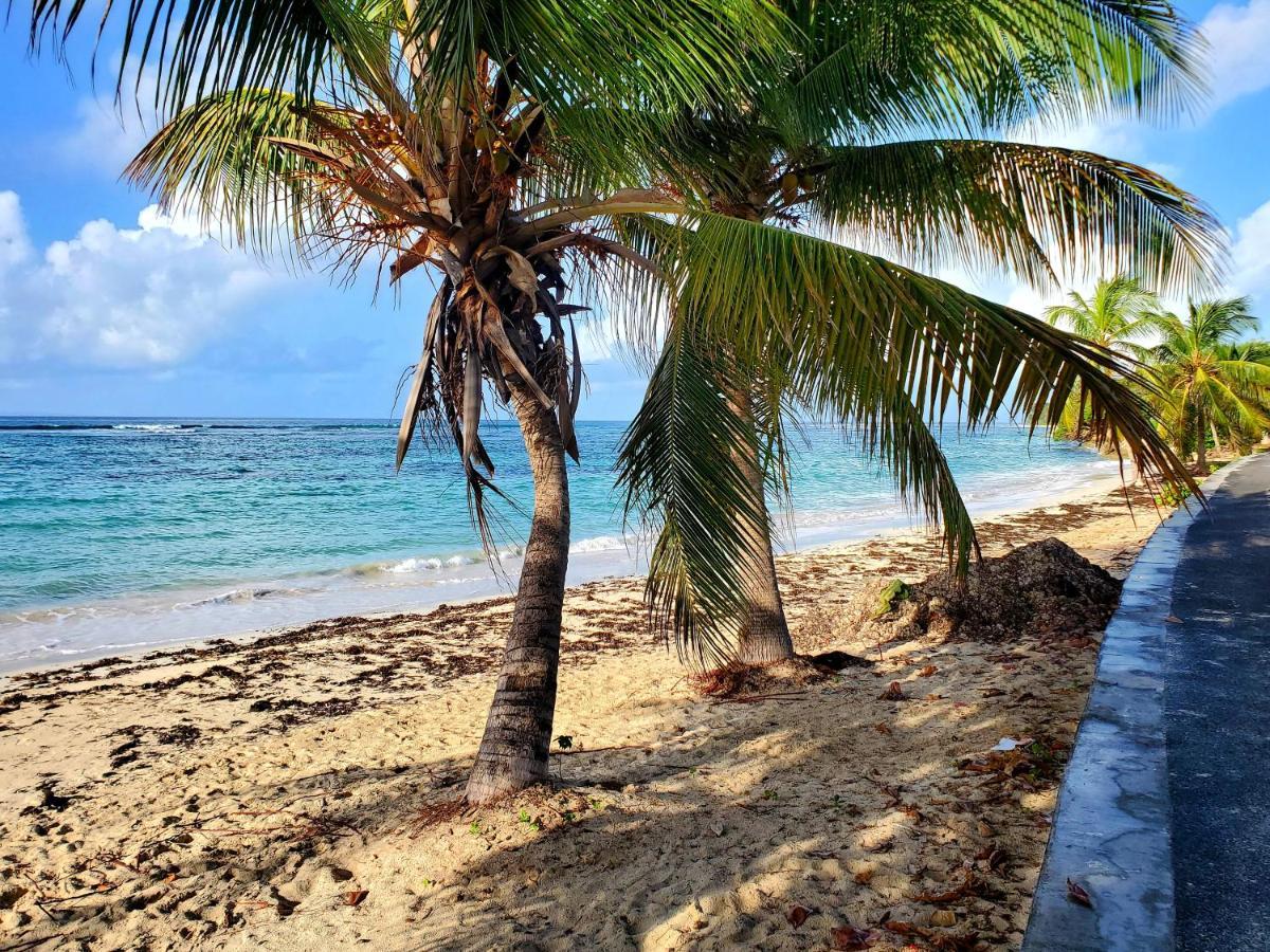 Bungalow l'Anjou Créole Sainte Anne Guadeloupe Extérieur photo