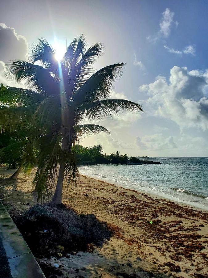 Bungalow l'Anjou Créole Sainte Anne Guadeloupe Extérieur photo