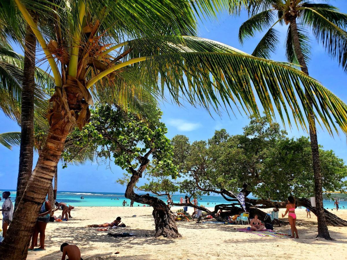 Bungalow l'Anjou Créole Sainte Anne Guadeloupe Extérieur photo