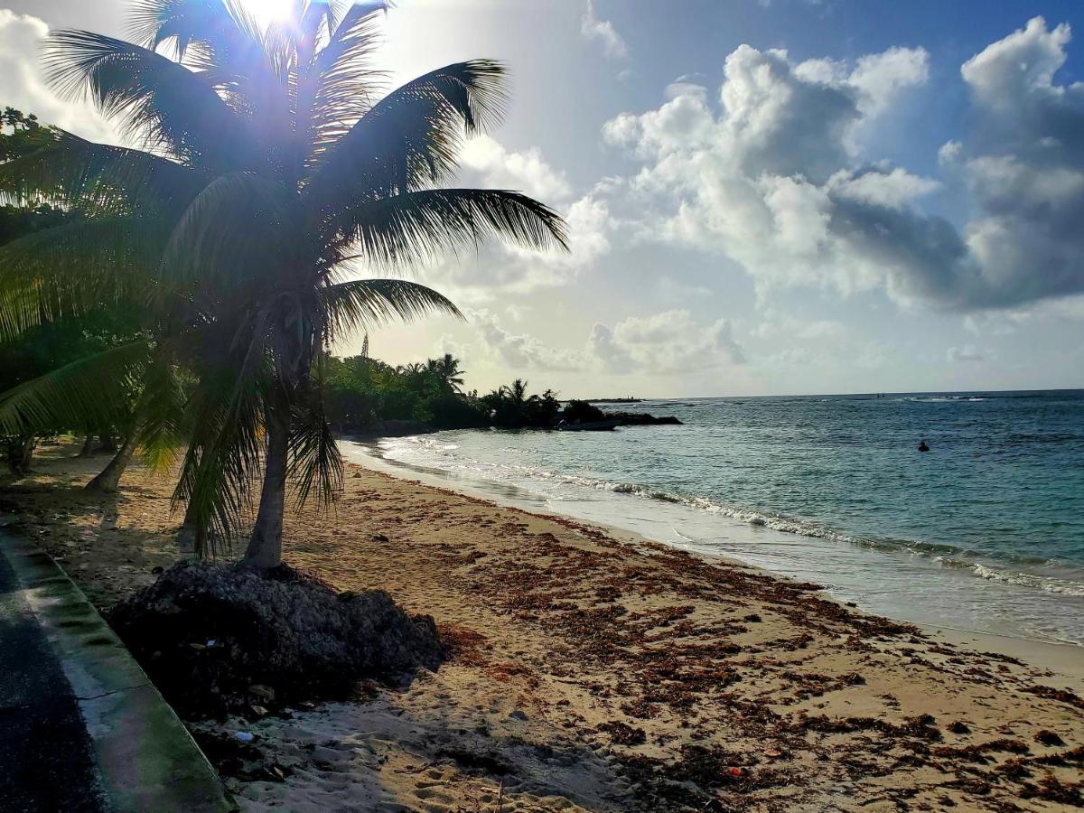 Bungalow l'Anjou Créole Sainte Anne Guadeloupe Extérieur photo