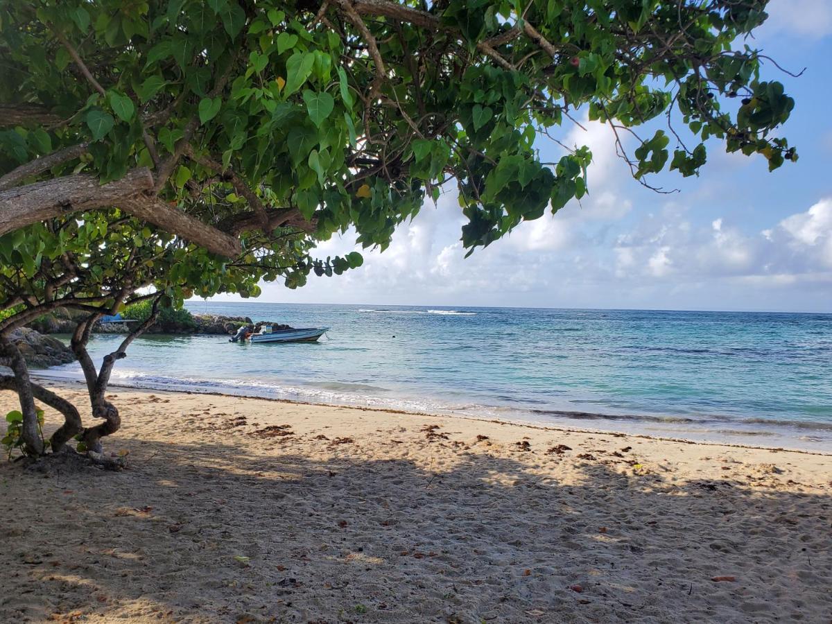 Bungalow l'Anjou Créole Sainte Anne Guadeloupe Extérieur photo